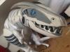 robodud's picture